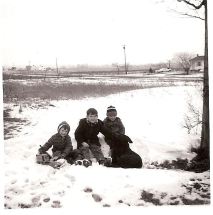 cherry grove in winter