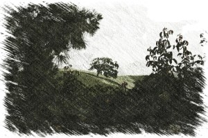 Oak-Tree-Art