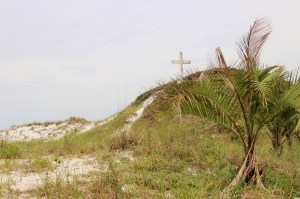 IMG_6259 (2)