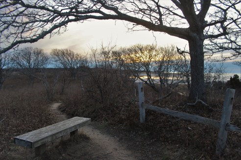 Chilly Spring Evening